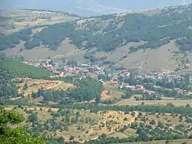 Norovo