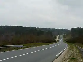 La RD 709 dans la forêt du Landais, sur la commune des Lèches, en Dordogne.