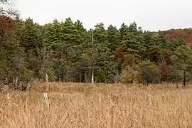 Sur le sentier de découverte.