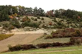 Vue de la pelouse.