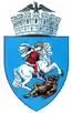 Blason de Craiova