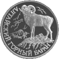 Mouton de montagne de l'Altaï, sur le côté face de la pièce de monnaie de 1 rouble.
