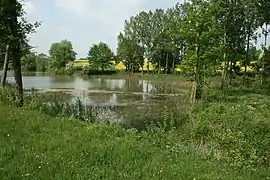 L'étang de Rabotteux,Montacher-Villegardin.