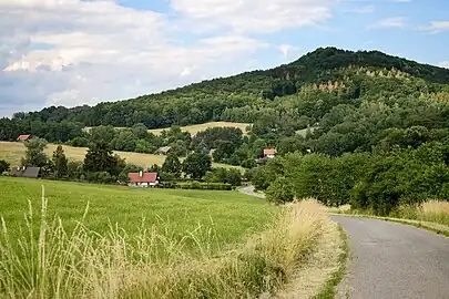 Radečský vrch (503 m) .