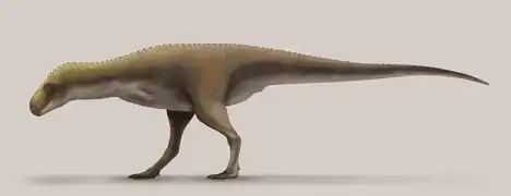 Rahiolisaurus