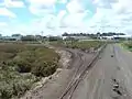 Rails dans la mangrove à Southdown, à Auckland City, en Nouvelle-Zélande