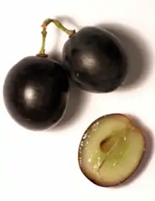 Photographie en couleur de trois baies de raisin noir. Deux sont attachés ensemble grâce à un résidu de rafle, le troisième a été coupé en deux pour montrer qu'un grain de raisin noir à jus blanc possède une pulpe incolore.