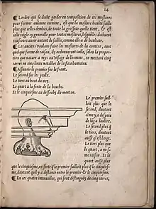 1542 - Paris, les proportions du visage comme base de conception des corniches (Diego de Sagredo : Raison d'architecture antique).