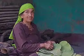 Une habitante du district de Kangra fabriquant un plat en feuilles. Avril 2022.