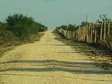 Vue d'un chemin de terre dans un ranch américain.