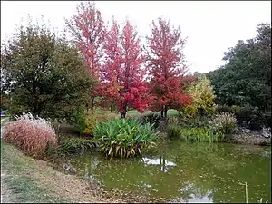 Paysage d'automne au "Jardin du Bois-Marquis" (vue 3) .