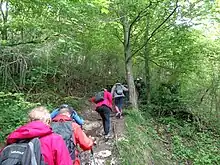Randonneurs suivant le tracé sur un arbre d'un sentier de randonnée en Seine-et-Marne, en France, en 2023. Sur ce segment, un sentier de petite randonnée (marquage jaune) coïncide avec un sentier de grande randonnée (marquage blanc et rouge).