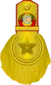 Cet insigne faisait partie de l'uniforme présenté puis rejeté par Staline.