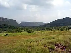 Le parc national de Ranthambore est une des réserves les plus fréquentées d'Inde du Nord.