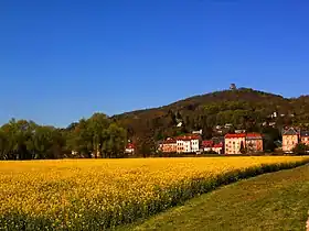 La ville du Ban-Saint-Martin et le mont Saint-Quentin.