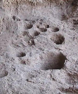 Mortiers creusés dans le sol rocheux,Raqefet, site natoufien (Israël)