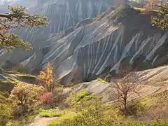 Ravin de Corbœuf en automne