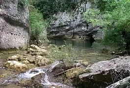 Le Lamalou au ravin des Arcs.