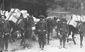 Image illustrative de l’article 63e bataillon de chasseurs alpins