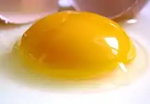 Photographie rapprochée d'un œuf de poule cru cassée et de sa coquille en arrière-plan.