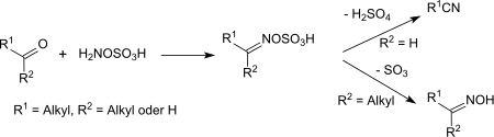 Réaction de l'acide hydroxylamine-O-sulfonique avec des composés carbonylés