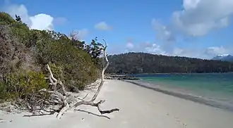 Une plage de la Baie de la Recherche, près de Cockle Creek