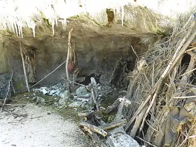 Reconstitution de l'abri sous rocheau Paléosite voisin