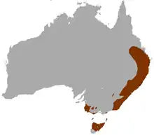 Planisphère de couleur grise représentant en brun la présence du Wallaby à cou rouge dans le monde (Est de l'Australie et Tasmanie).