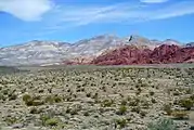Le Red Rock Canyon