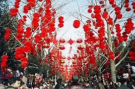 lanternes pendant la fête des lanternes