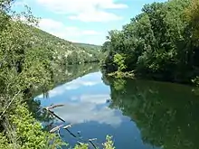 Une rivière entourée d'arbres verdoyant dans laquelle se reflètent le ciel bleu et les nuages