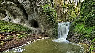 Le saut  du ruisseau de Goële.