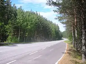 La route régionale 314 sur le Pulkkilanharju.