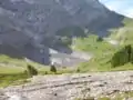 Un bras source du Reichenbach jaillit d’un petit glacier au pied du Wetterhorn .