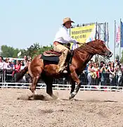 Compétition de reining, figure du spin, ou rotation rapide