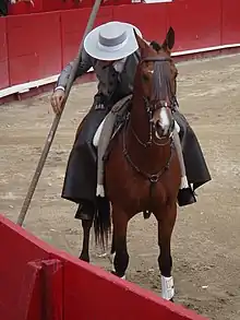 Álvaro Montes reçoit le taureau avec la garrocha