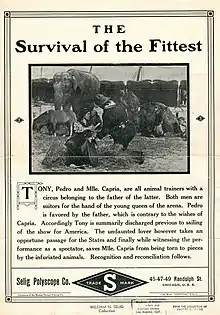 Description de l'image Release flier for THE SURVIVAL OF THE FITTEST, 1911.jpg.