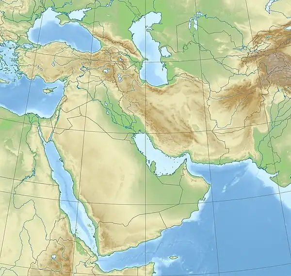 Carte topographique du Moyen-Orient