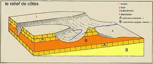 Bloc-diagramme simplifié du relief de côte constitué par un front anaclinal, un revers cataclinal et une dépression orthoclinale.