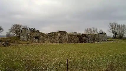 Les ruines en 2010.