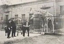 Rembrandt Bugatti, Cecil Howard, Albéric Collin (?), au Zoo d'Anvers en 1909