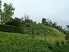 Tumulus situé à Lamine (M) et ensemble formé par ce tumulus et la parcelle sur laquelle il se trouve (S)