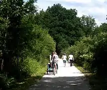 Cycliste avec remorque.