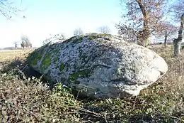 Menhir du moulin à vent de Normandeau.