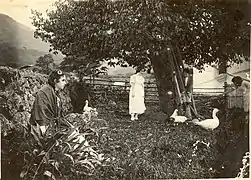Photo en noir et blanc montrant quatre femmes dans un jardin avec un gros arbres et quelques oies