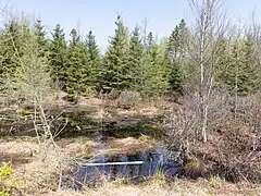 Réserve écologique Lac-à-la-Tortue[1], Mauricie, Québec, Canada