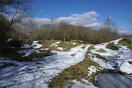 Le terrain bouleversé des dessus de l'ouvrage de Thiaumont presque un siècle après la bataille.