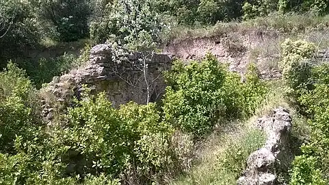 Les vestiges de l'oppidum de Marduel.