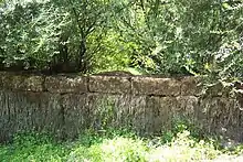 photo d'un mur en grosses pierres de taille entouré de végétation.