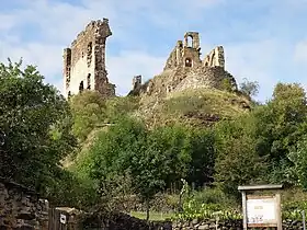 Vestiges du château d'Artias.